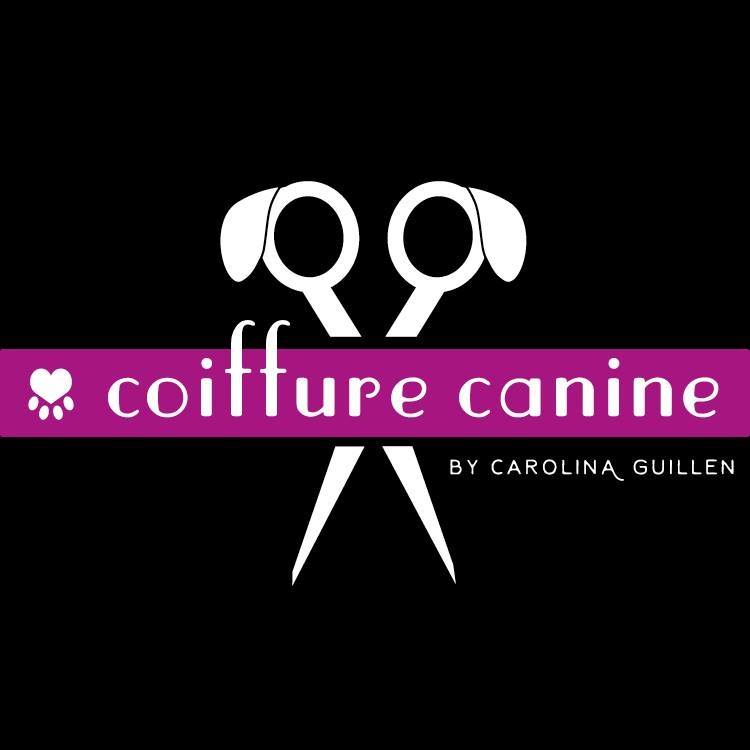 Coiffure canine