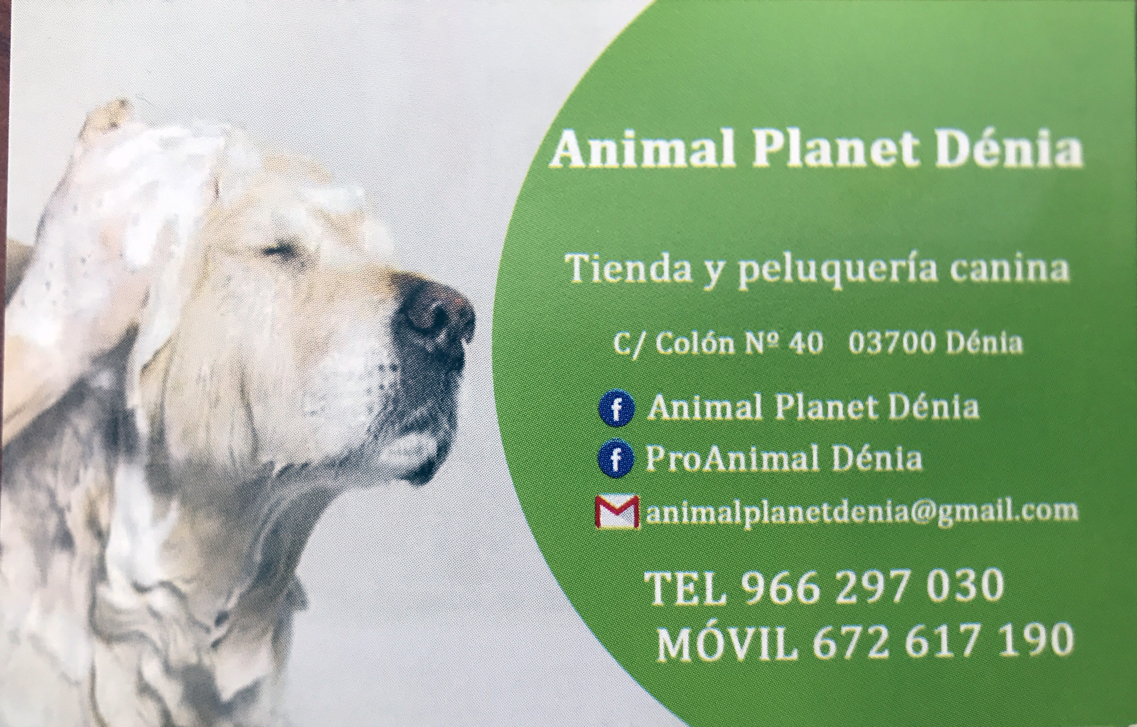 logotipo ANIMAL PLANET